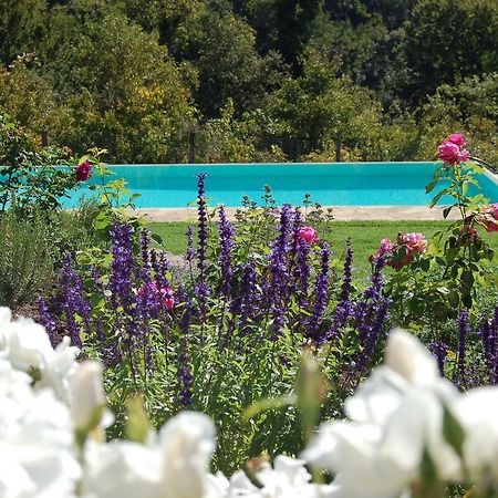 B&B Podere Il Colto Gaiole in Chianti Eksteriør billede