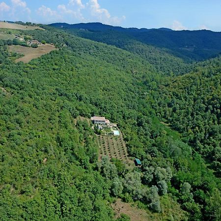 B&B Podere Il Colto Gaiole in Chianti Eksteriør billede
