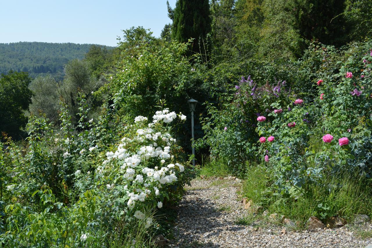 B&B Podere Il Colto Gaiole in Chianti Eksteriør billede
