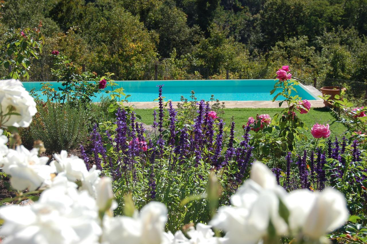 B&B Podere Il Colto Gaiole in Chianti Eksteriør billede