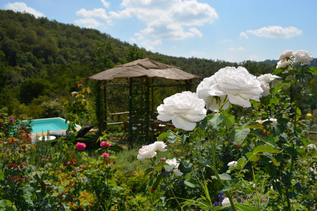 B&B Podere Il Colto Gaiole in Chianti Eksteriør billede