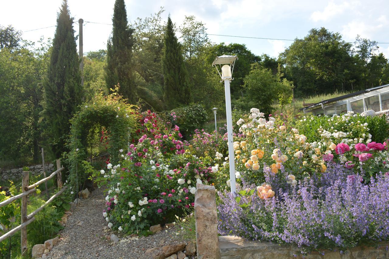 B&B Podere Il Colto Gaiole in Chianti Eksteriør billede