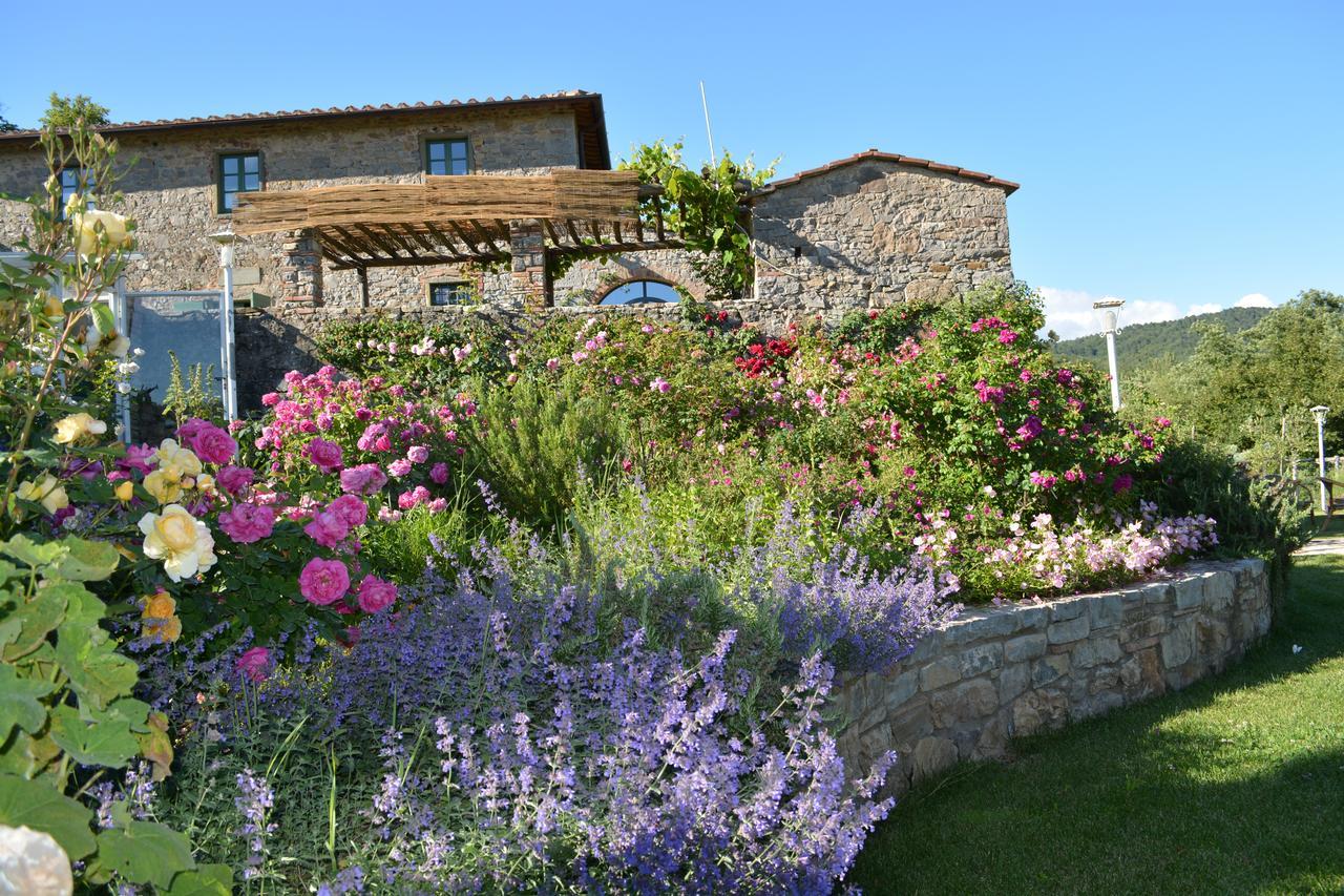 B&B Podere Il Colto Gaiole in Chianti Eksteriør billede
