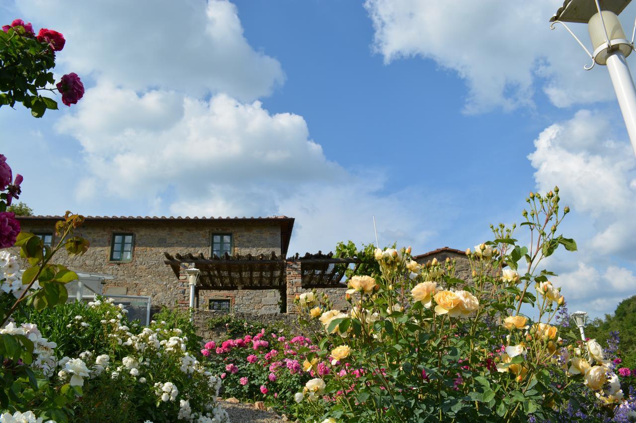 B&B Podere Il Colto Gaiole in Chianti Eksteriør billede