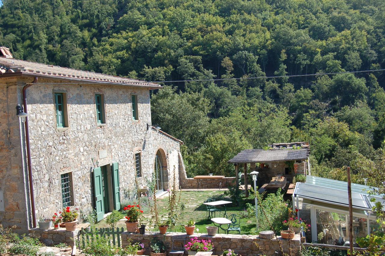 B&B Podere Il Colto Gaiole in Chianti Eksteriør billede