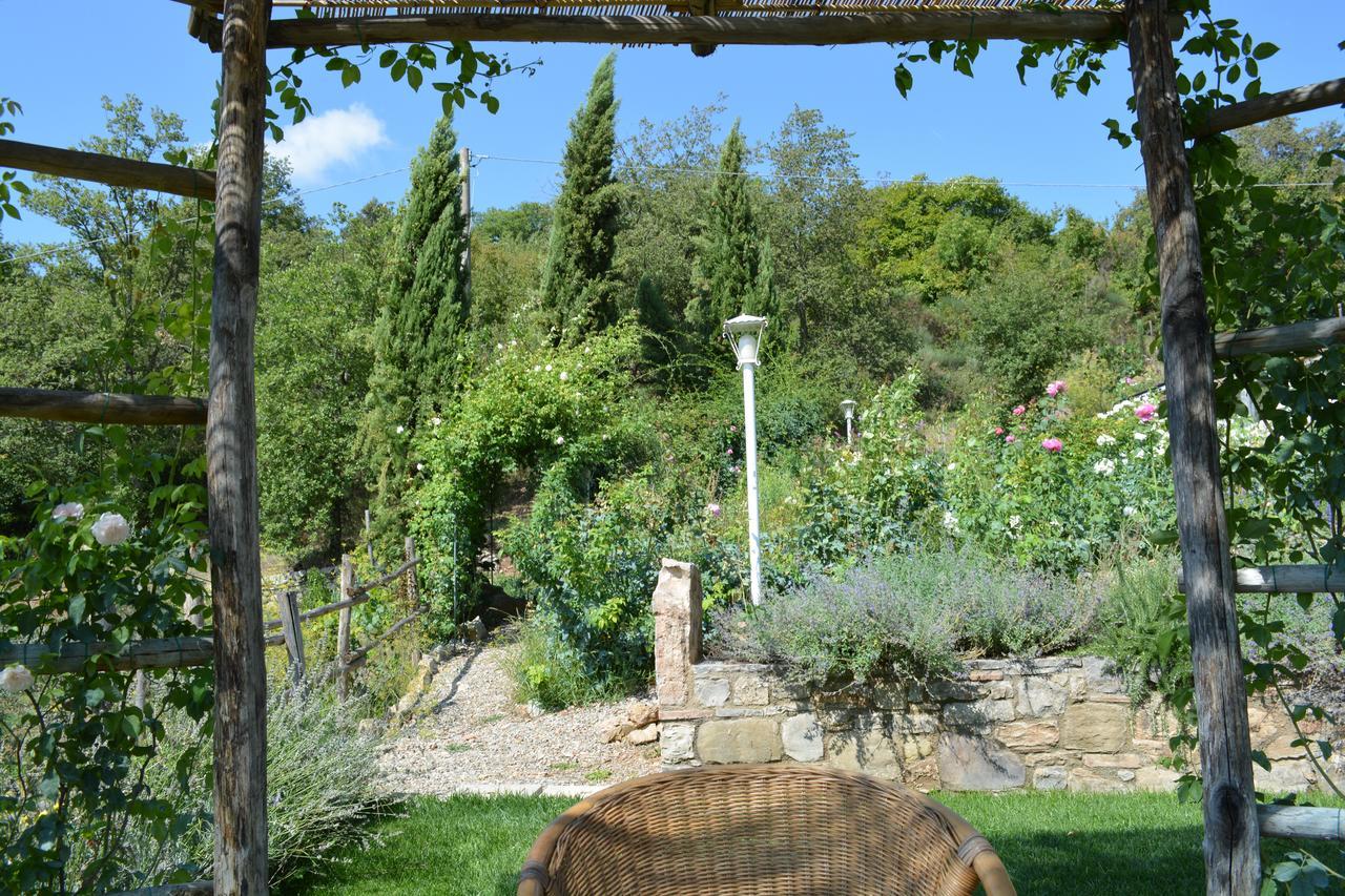 B&B Podere Il Colto Gaiole in Chianti Eksteriør billede
