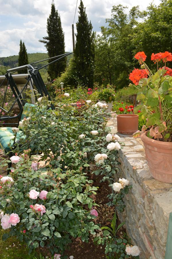 B&B Podere Il Colto Gaiole in Chianti Eksteriør billede