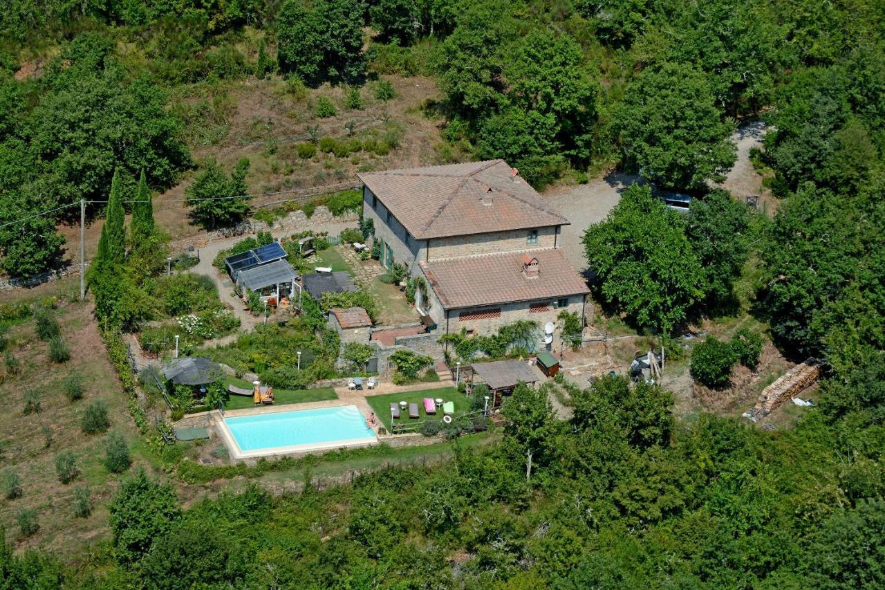 B&B Podere Il Colto Gaiole in Chianti Eksteriør billede